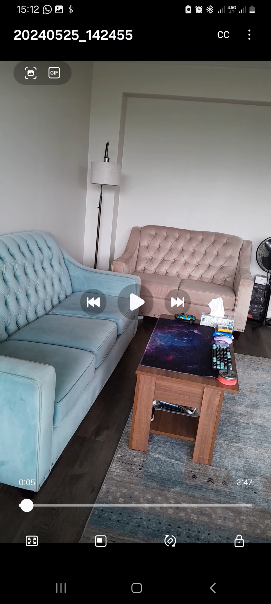 Blue Tufted Sofa