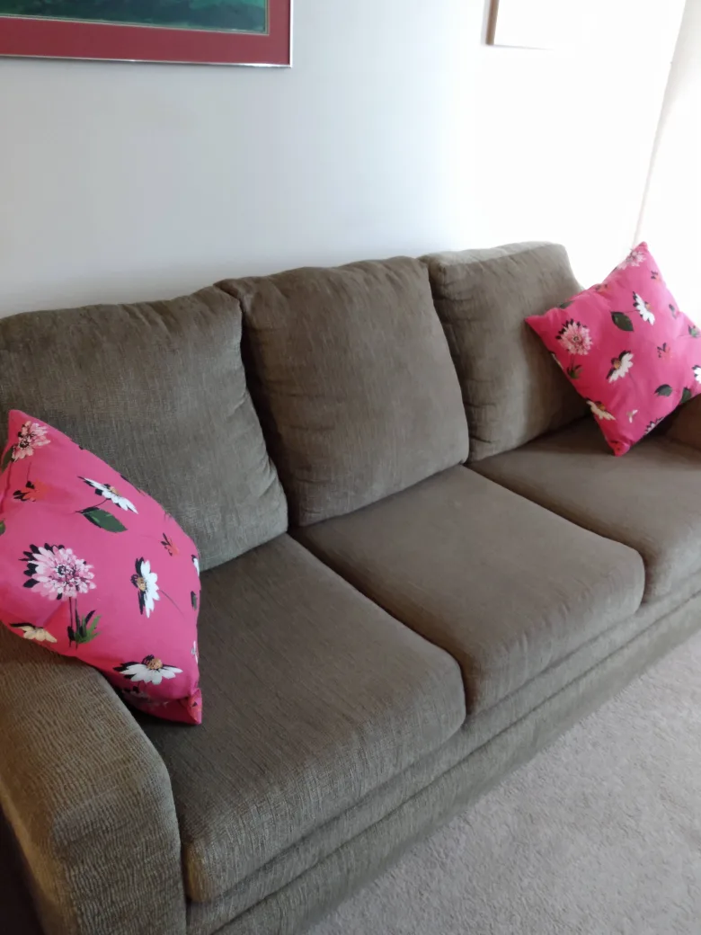 Couch 🛋️ thumbnail