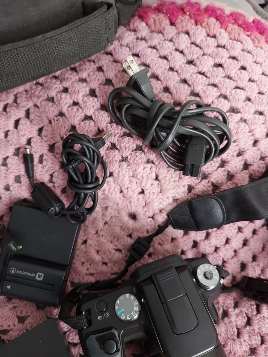 Sony Alpha DSLR Camera image indicator(4)