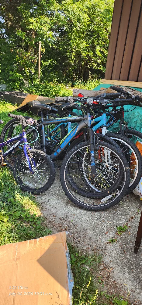 6 Used Bikes - Various Sizes (MOVING SALE) image indicator(3)