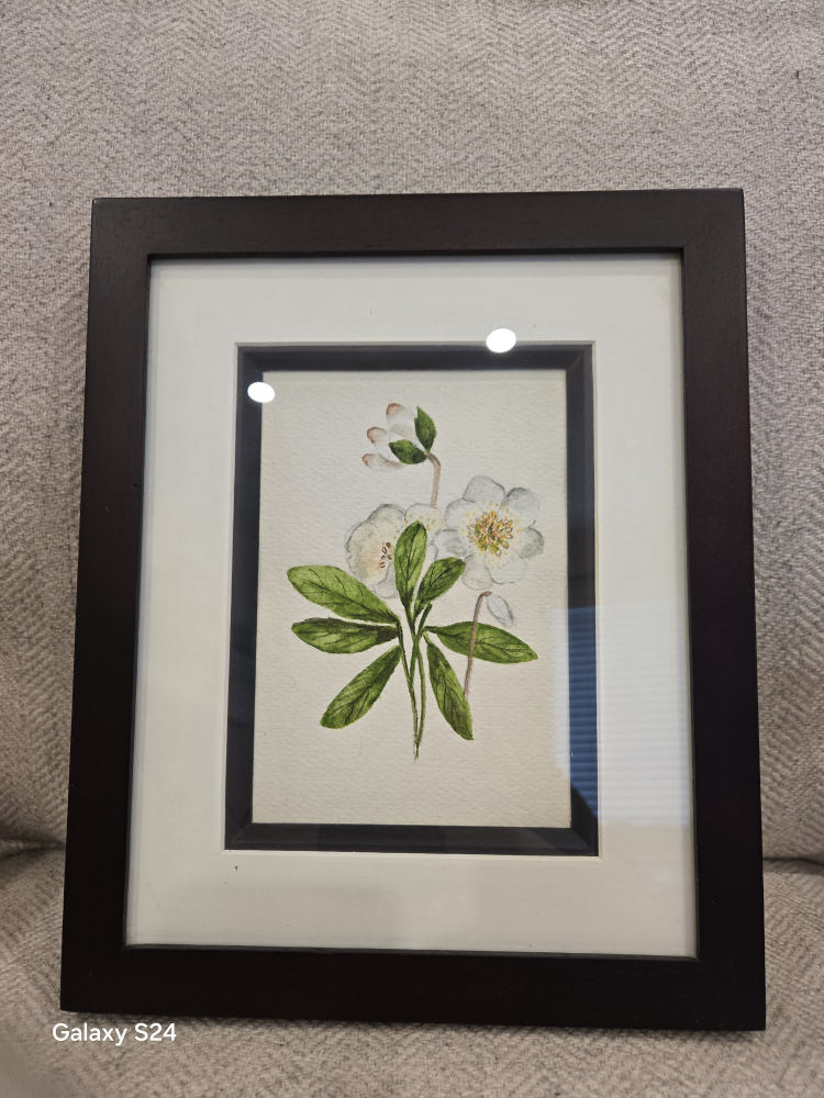 Floral Painted Picture