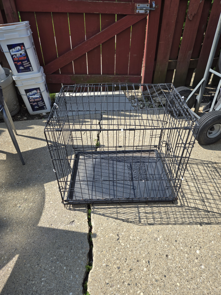 Dog Crate - Black Wire