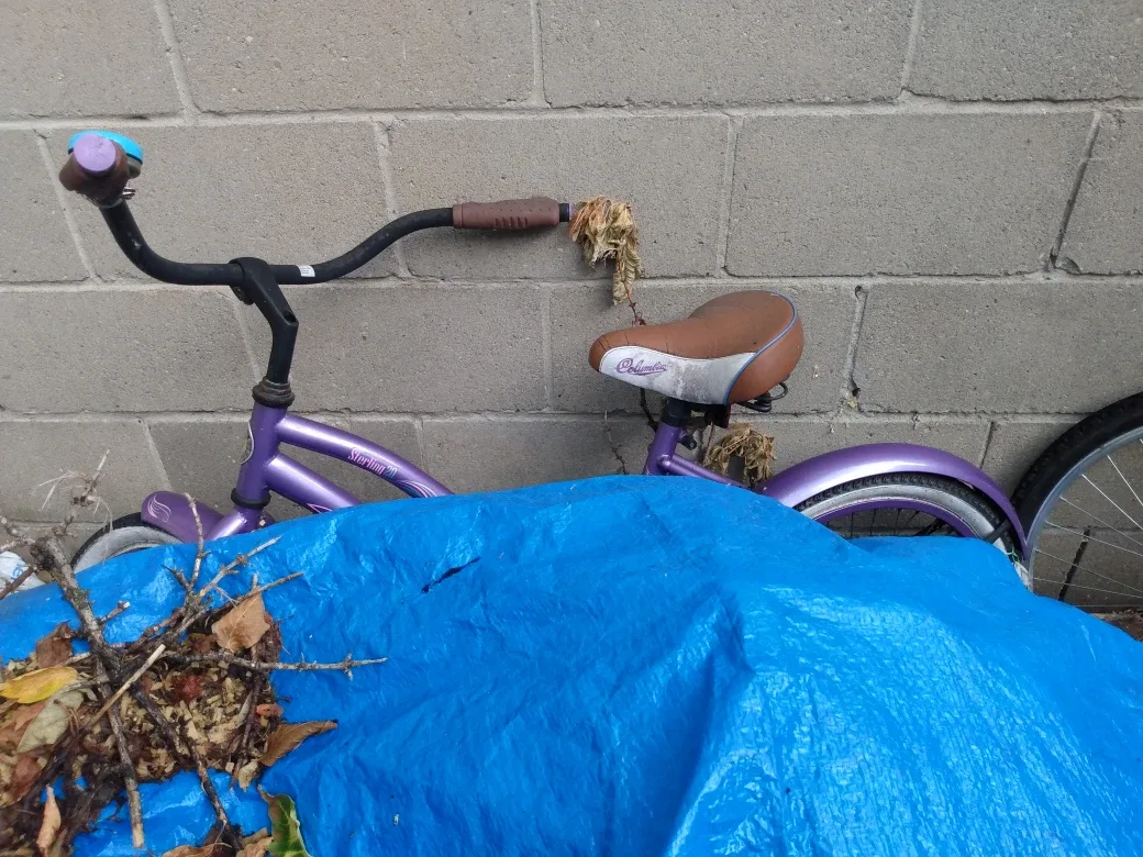 2 Bikes for Parts with Rusted Chains thumbnail