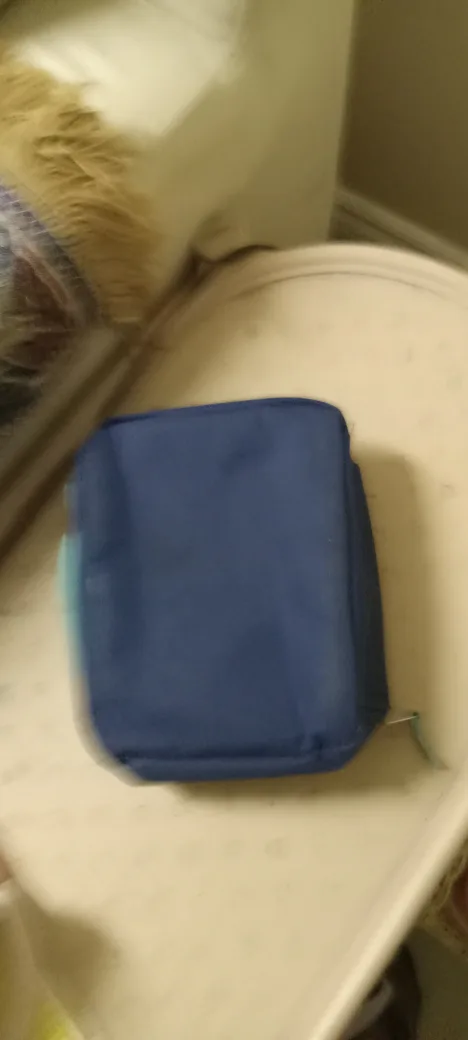 Frozen Elsa & Anna Lunch Bag 🇨🇦 image indicator(3)