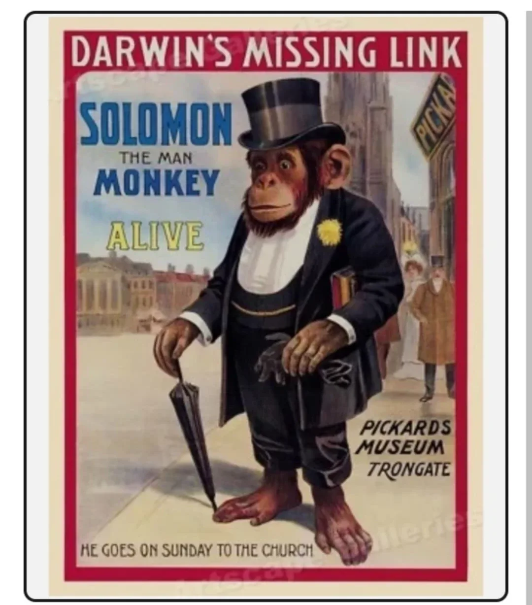 Darwin's Missing Link Poster 🇨🇦 image indicator(2)