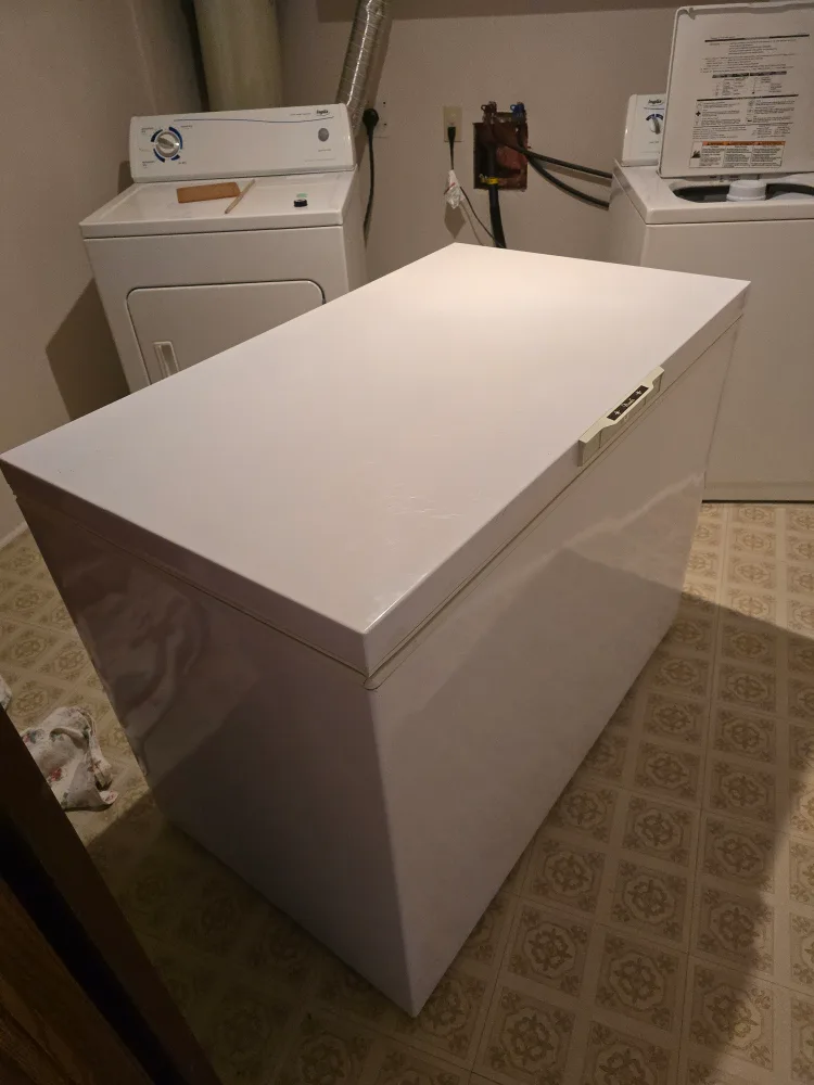 Wood's White Chest Freezer thumbnail