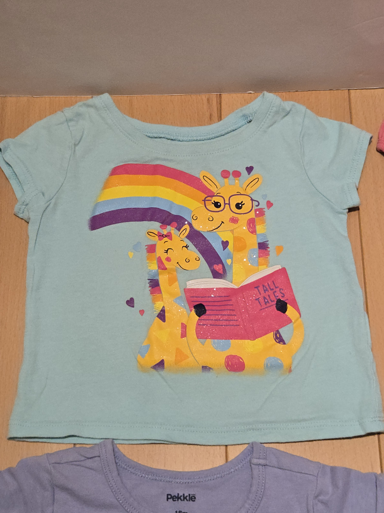 Baby Clothes Summer Short Sleeve Tops Bundle (18-24 Months) - photo 2