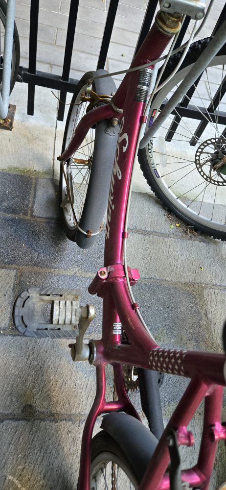 Schwinn Pink Bicycle - photo 4
