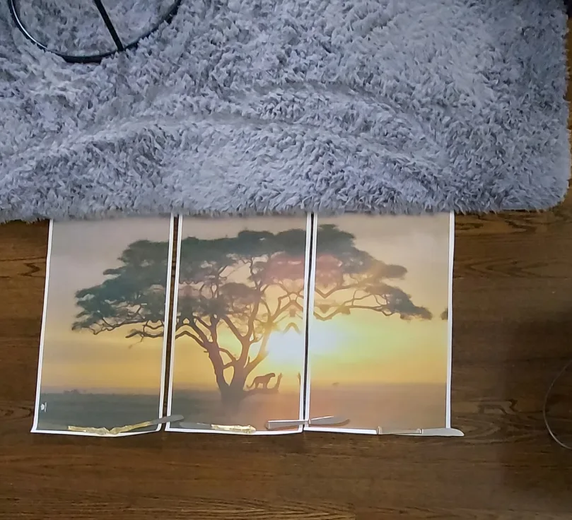 3 pc safari print. thumbnail