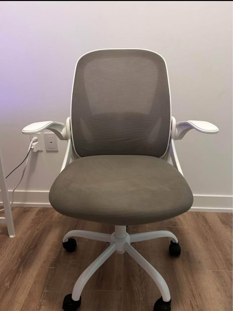 Ergonomic Office Chair - Grey and White