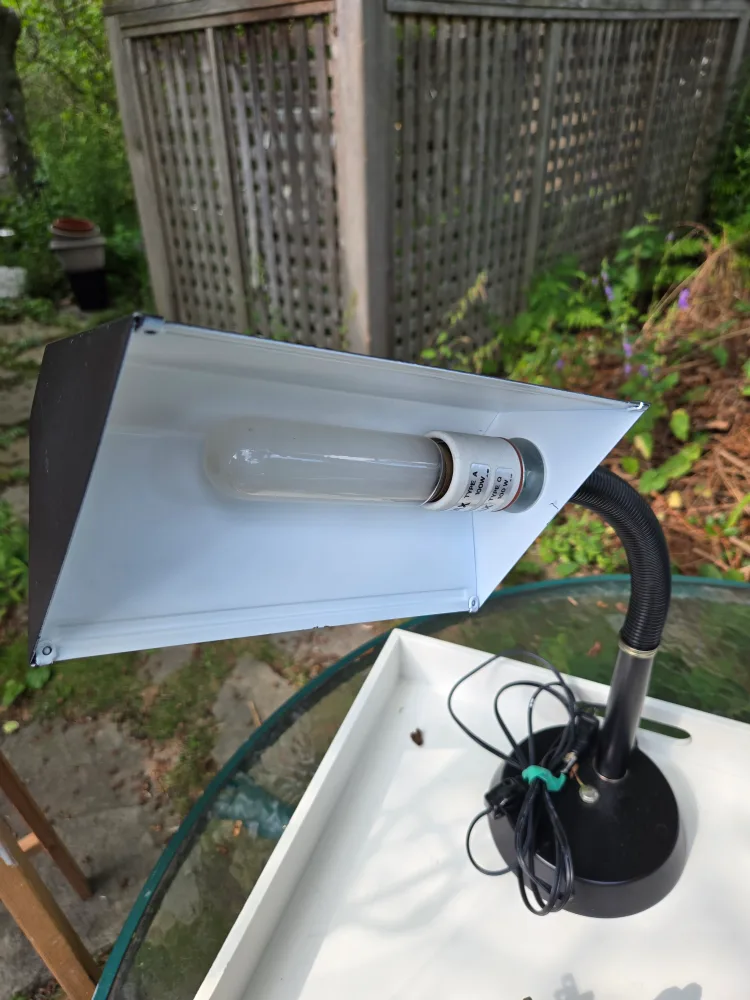 black desk lamp image indicator(2)