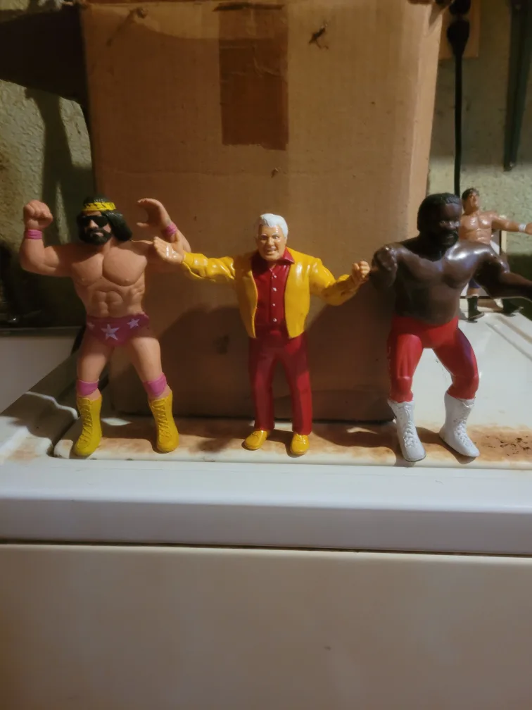 Vintage Wrestling Action Figures thumbnail
