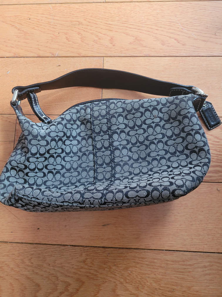 Coach Signature Mini Hobo Bag