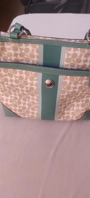 Coach Handbag image indicator(7)