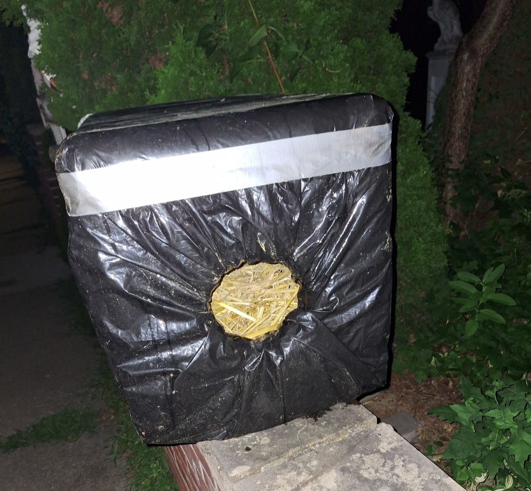 Styrofoam Cat shelter house Whitestone queens 11357