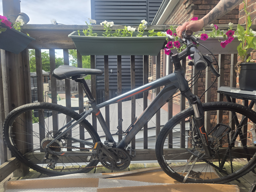 Giant Roam 2 Disc Breaks Hybrid Bike