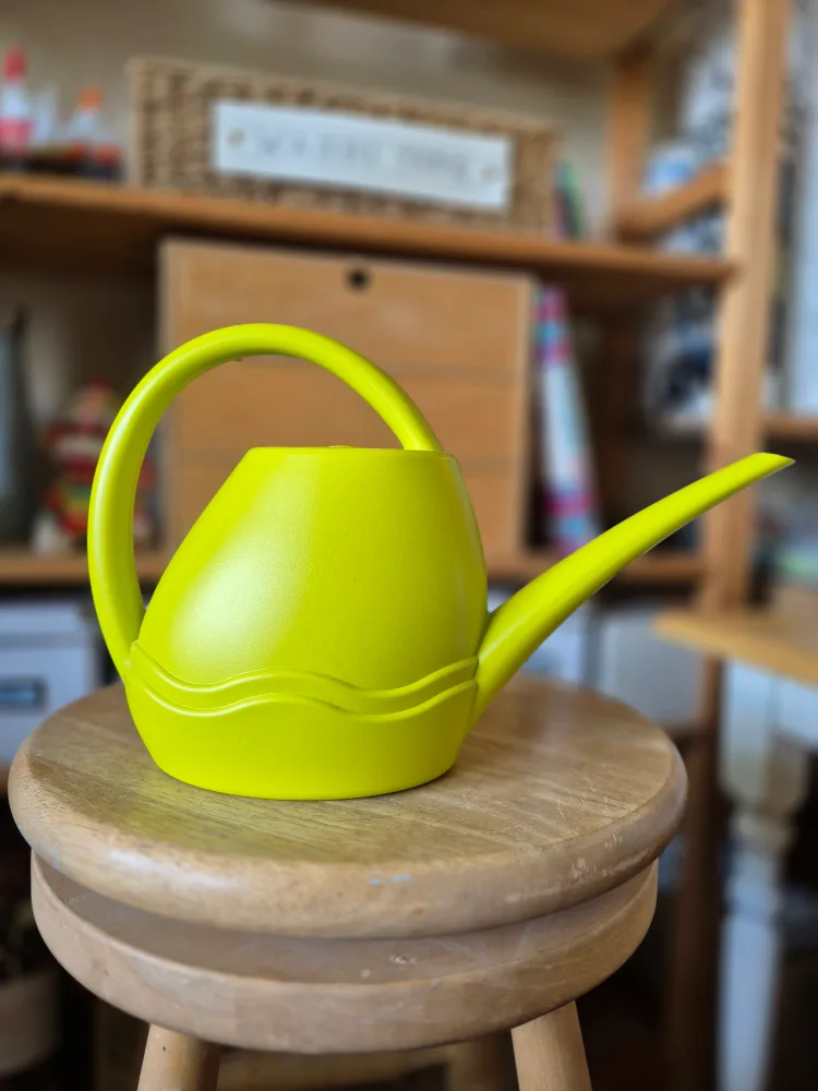 Plant Watering Can from Netherlands (NEW) thumbnail