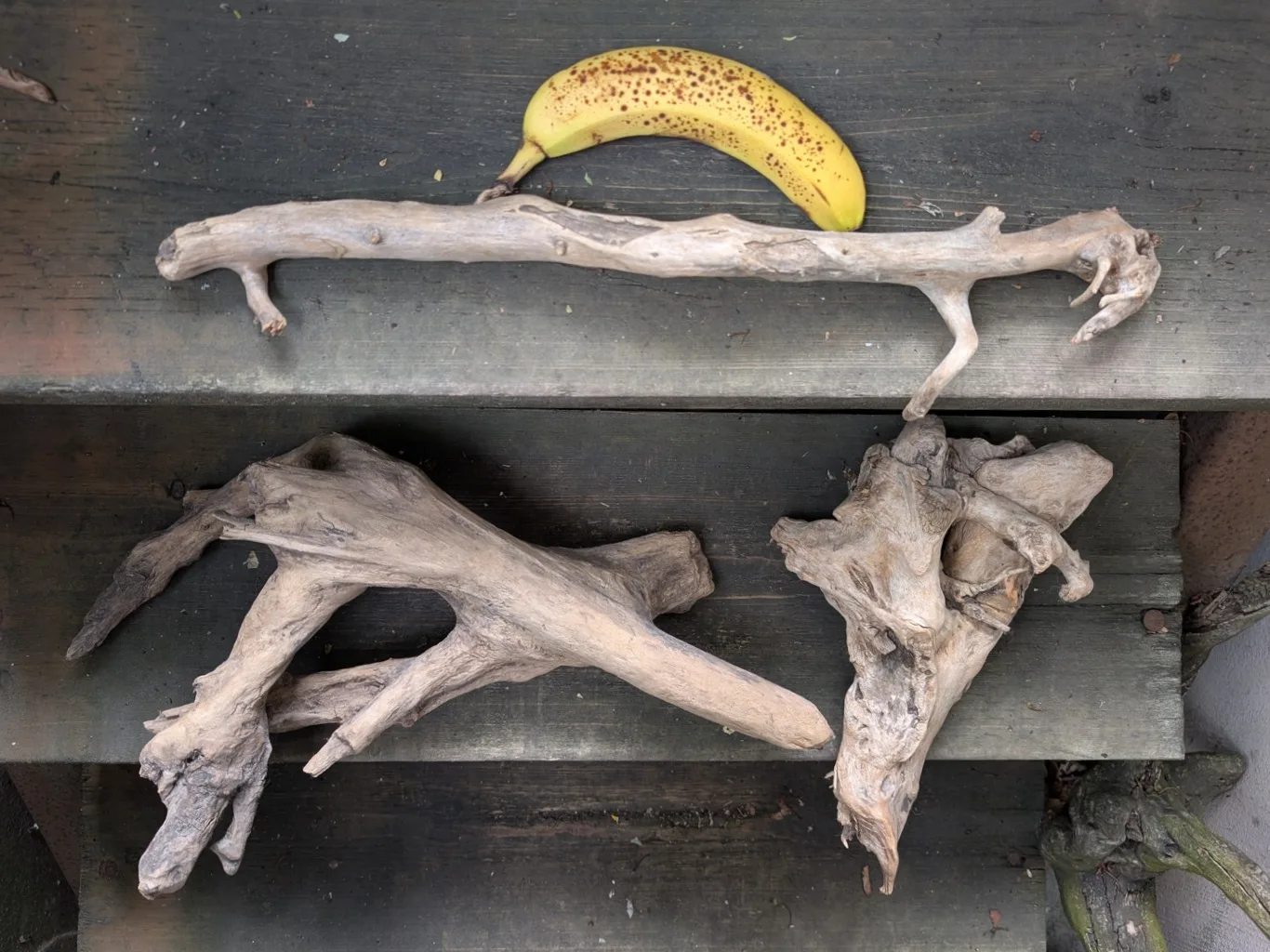 driftwood thumbnail