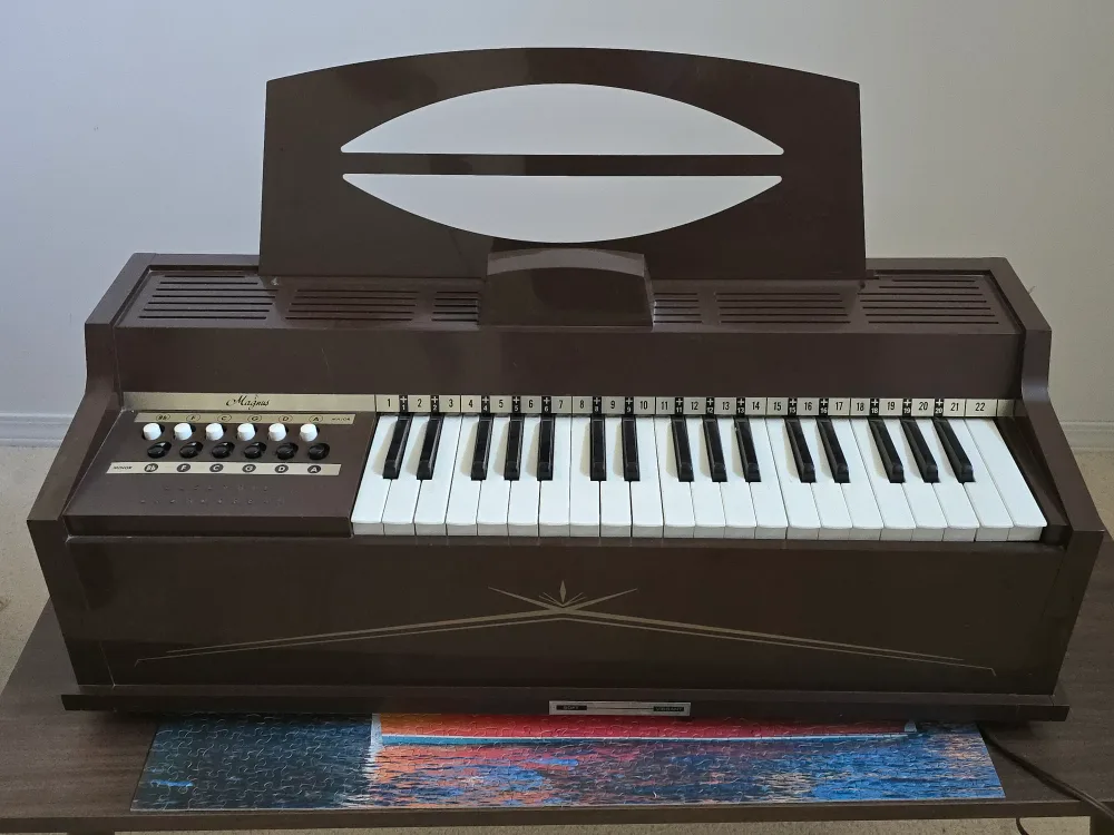 Chord Organ - Brown thumbnail
