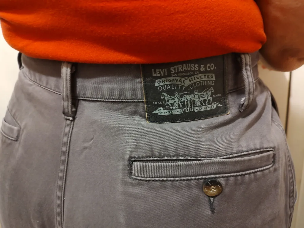 Levi Strauss & Co. Grey Cargo Pants image indicator(4)