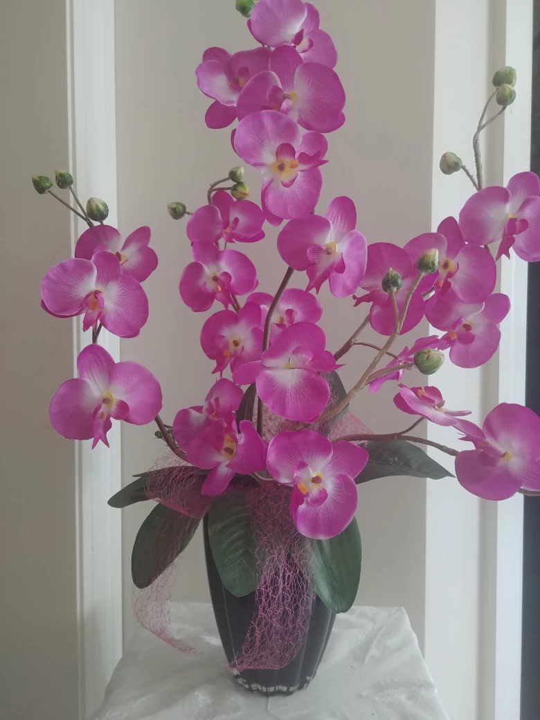 Orchid Arrangements. $60 & $30