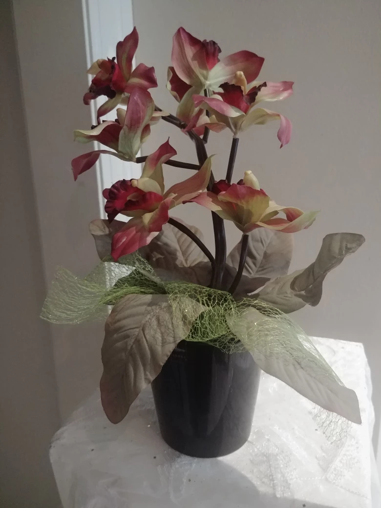 Orchid Arrangements. $60 & $30 - photo 5