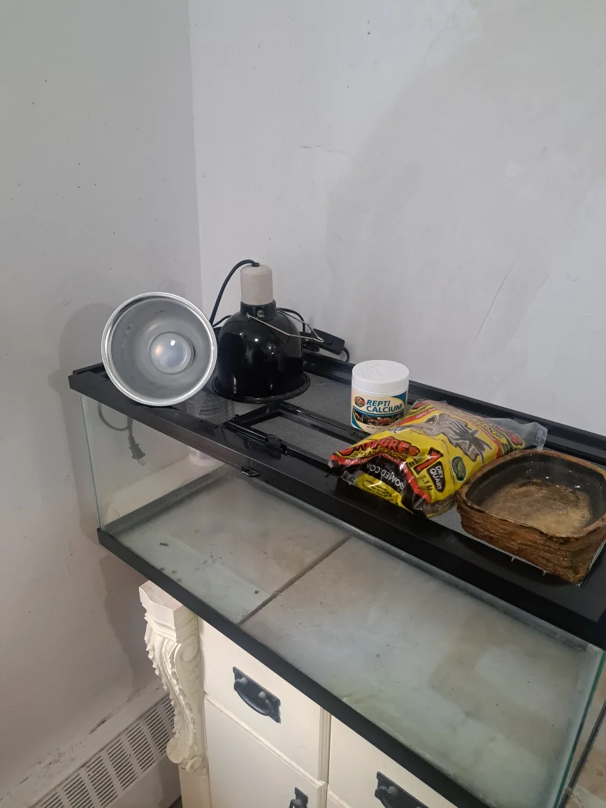 20 gallon tank +lid thumbnail