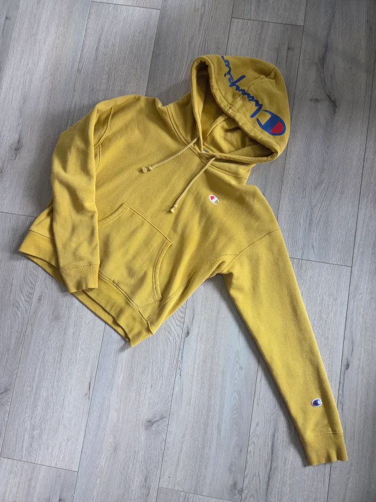 Champion Reverse Weave Hoodie thumbnail