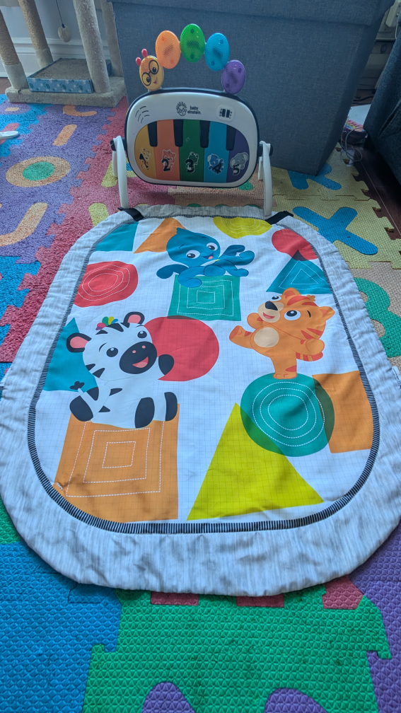 Baby Einstein Activity Gym