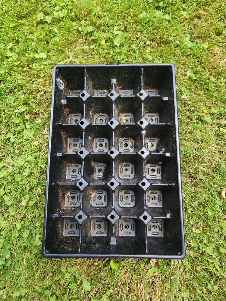 Black Plastic Seedling Tray 🇨🇦 thumbnail