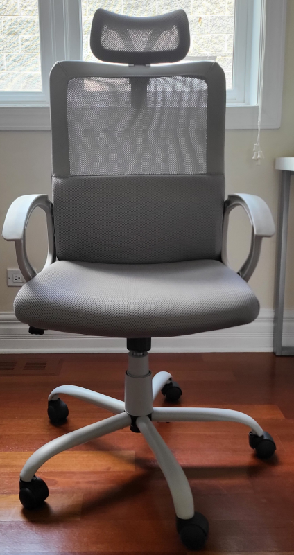 Ergonomic Office Chair with Headrest. Gray