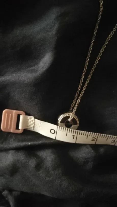 New! Bitter Sweet Sterling Silver Necklace image indicator(7)