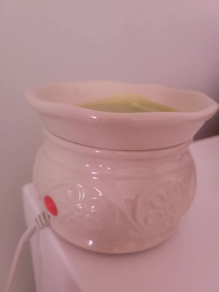 Electric Wax Warmer thumbnail