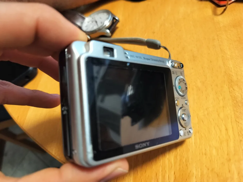 Sony Cybershot DSC-W100 7.2MP Digital Camera image indicator(5)