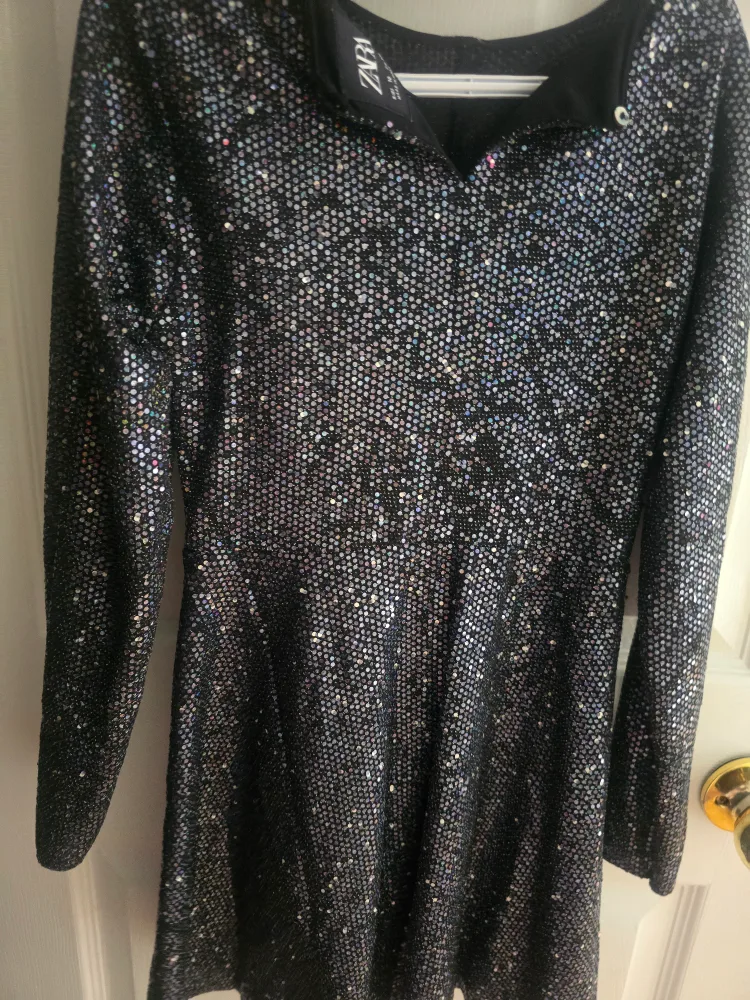 Zara Sequin Dress - Size 10 image indicator(3)