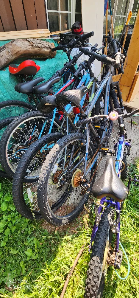 Used Bikes - Various Sizes (MOVING SALE) thumbnail