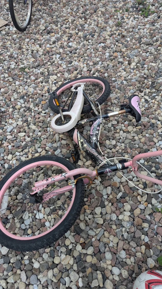 Pink 20" Kids Bike🇨🇦 image indicator(3)