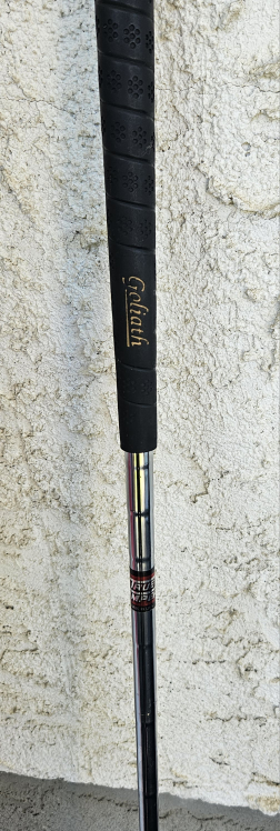 Goliath Golf Club - photo 4