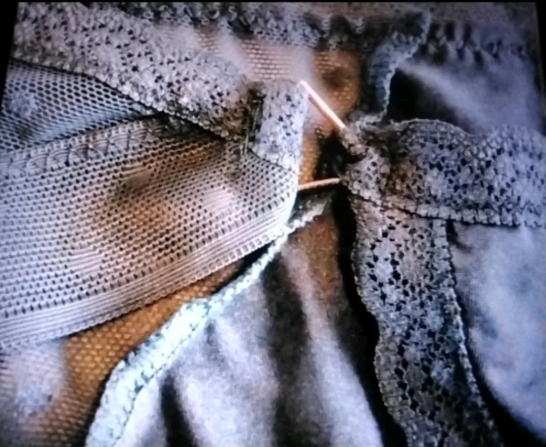 NWT! 5 AERIE- AMERICAN EAGLE LADIES LACE PANTIES image indicator(3)