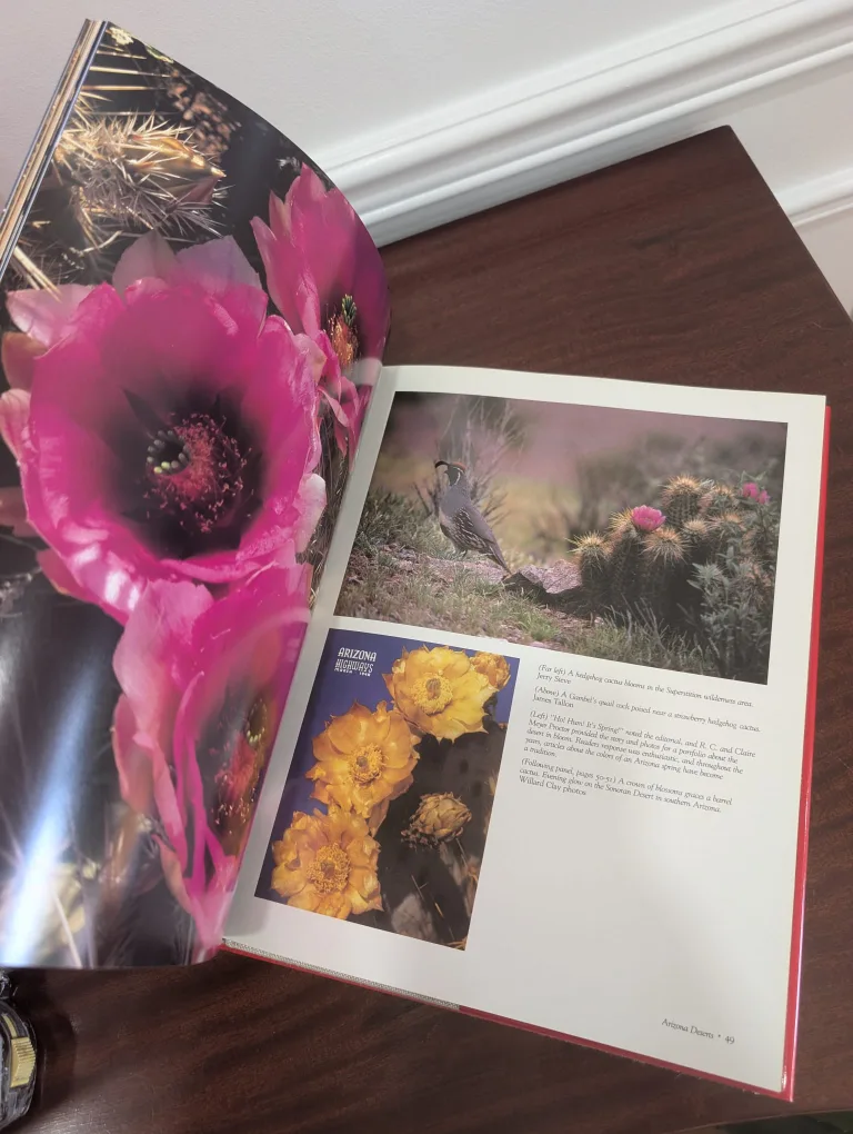 Arizona Landmarks Highways Book image indicator(2)