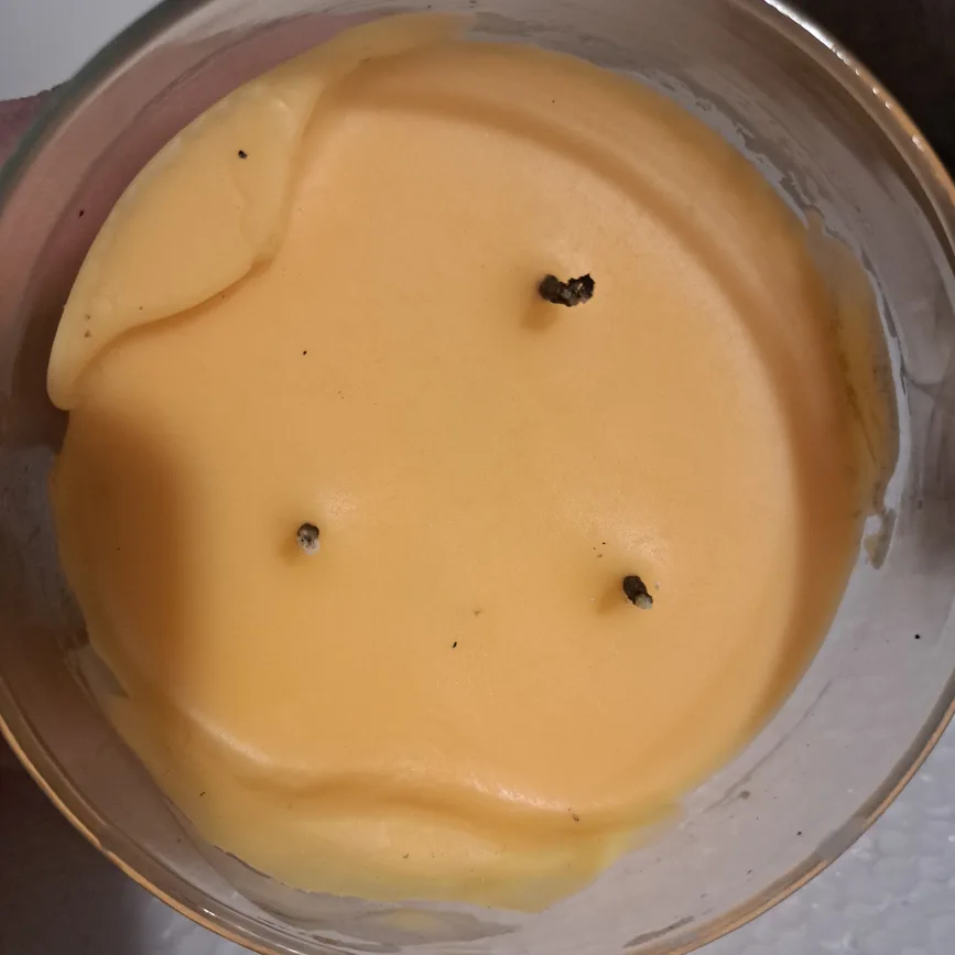 Bath and Body Works "Honeysuckle" 3-wick candle image indicator(3)