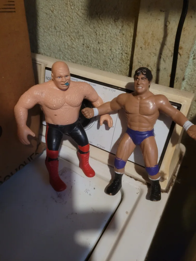 Vintage Wrestling Action Figures thumbnail