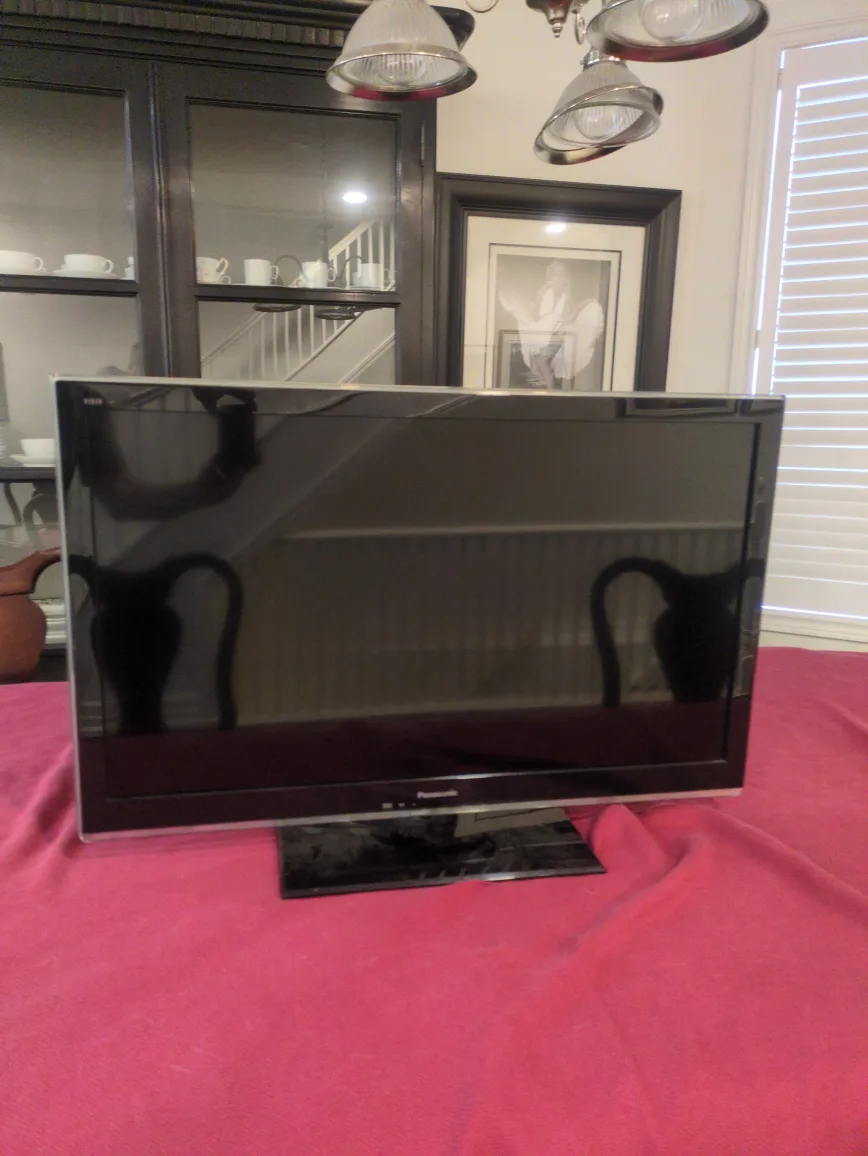 Panasonic Viera TV thumbnail