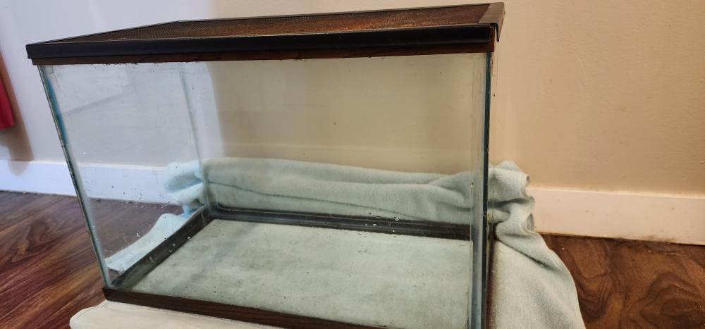 Used Fish Tank