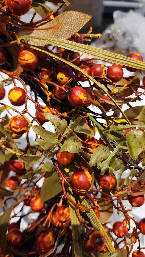 Fall Wreath with Berries & Leaves, 50 cm image indicator(4)