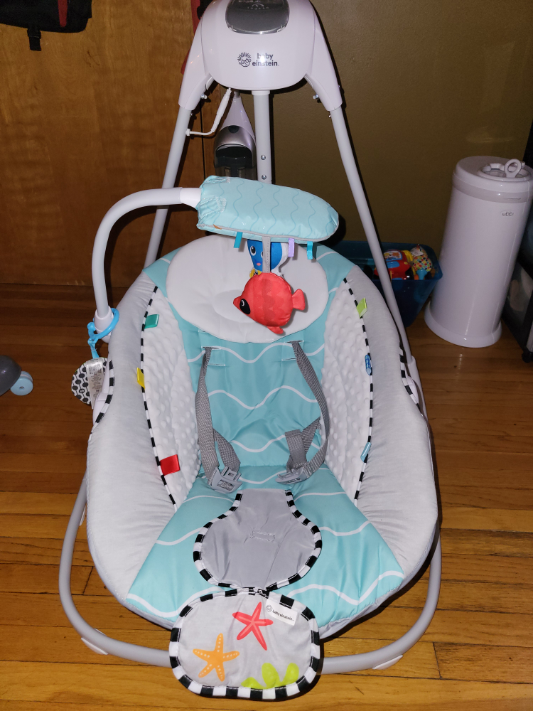 Baby Einstein Swing