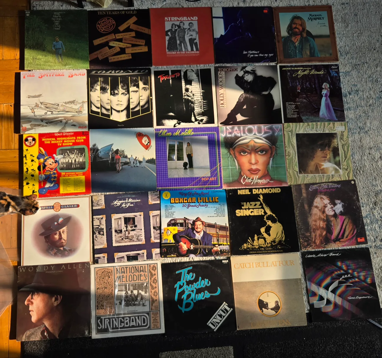 Assorted Vinyl Records Collection thumbnail