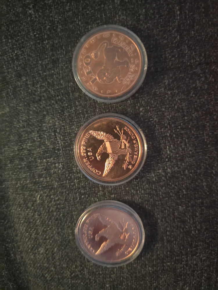 Copper Coins - Aztec, T-Rex, Deer thumbnail