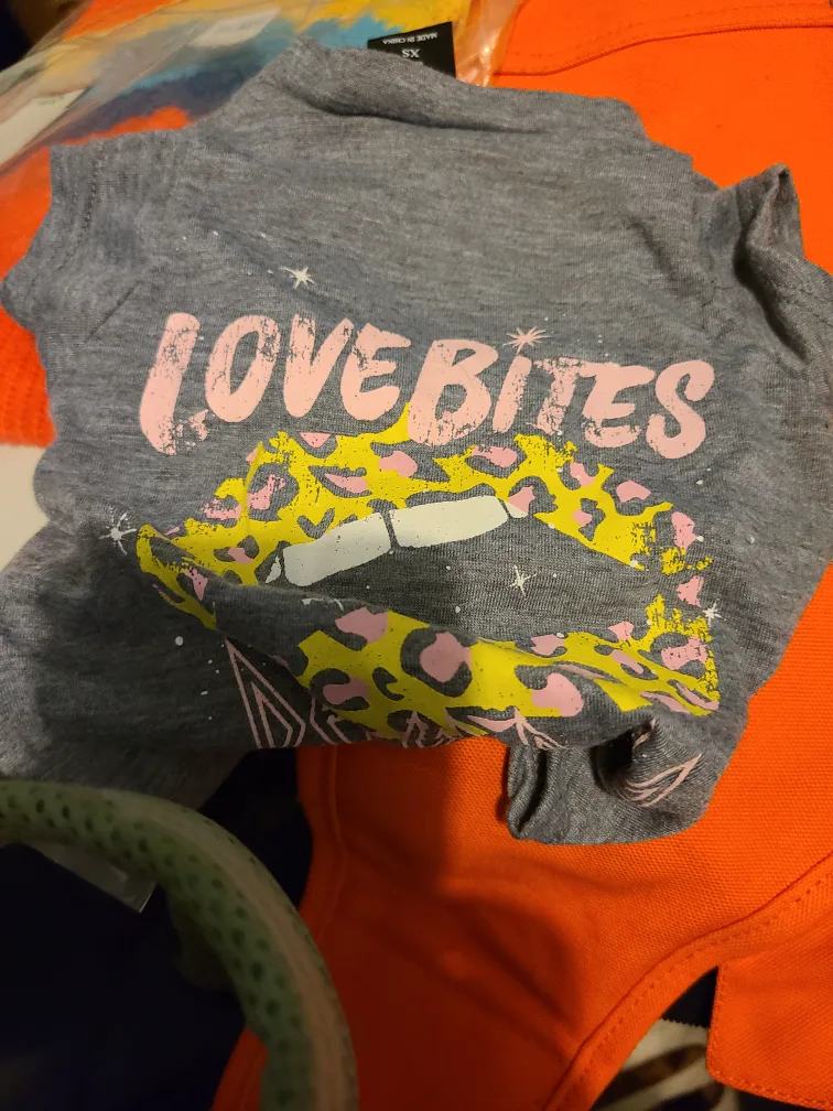 Dog clothes, toys, and  bowl bundle. image indicator(2)