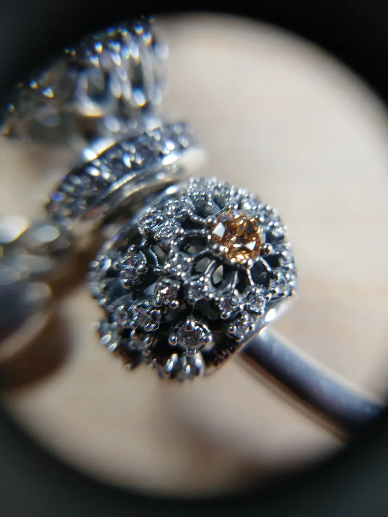 Pandora Bangle (Small) with 12 Charms and Bag image indicator(2)